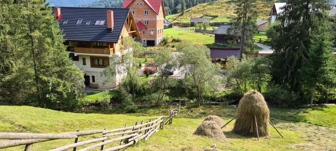 Hotel Arnica Montana Arieşeni Esterno foto