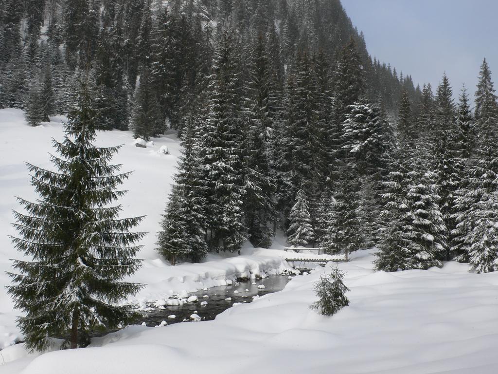 Hotel Arnica Montana Arieşeni Esterno foto