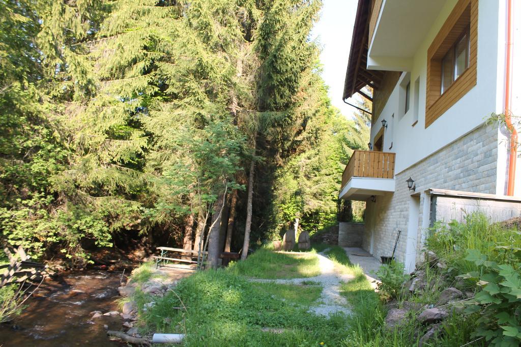 Hotel Arnica Montana Arieşeni Esterno foto