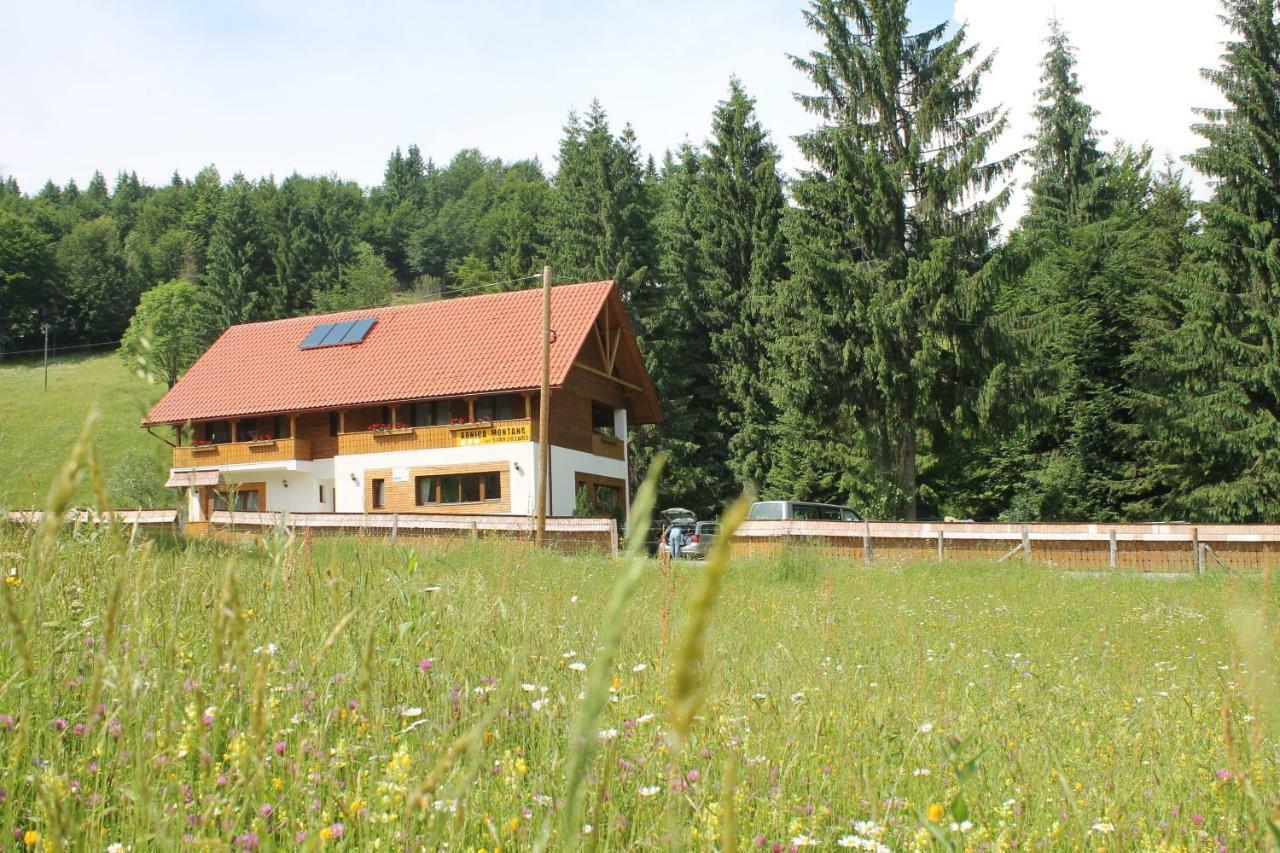 Hotel Arnica Montana Arieşeni Esterno foto
