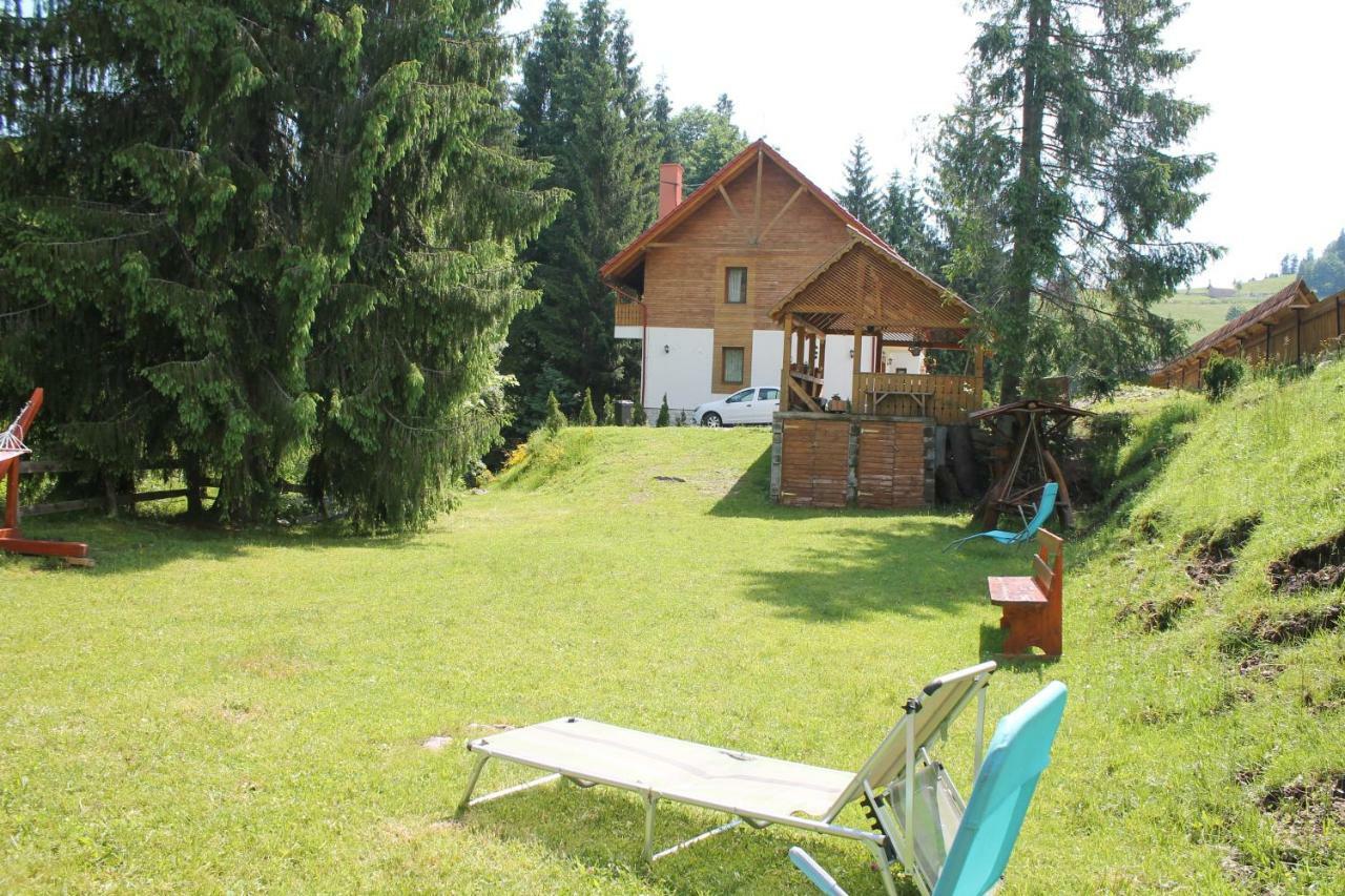Hotel Arnica Montana Arieşeni Esterno foto