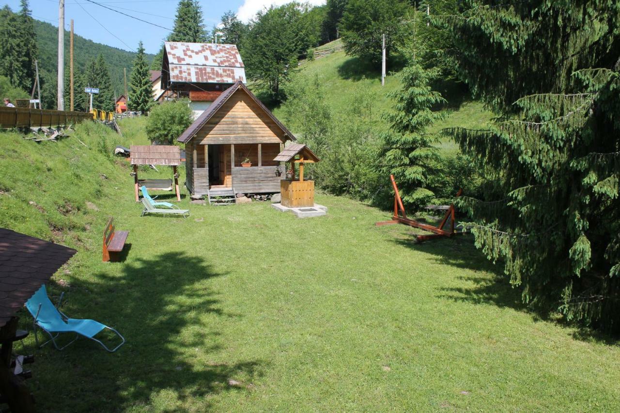 Hotel Arnica Montana Arieşeni Esterno foto