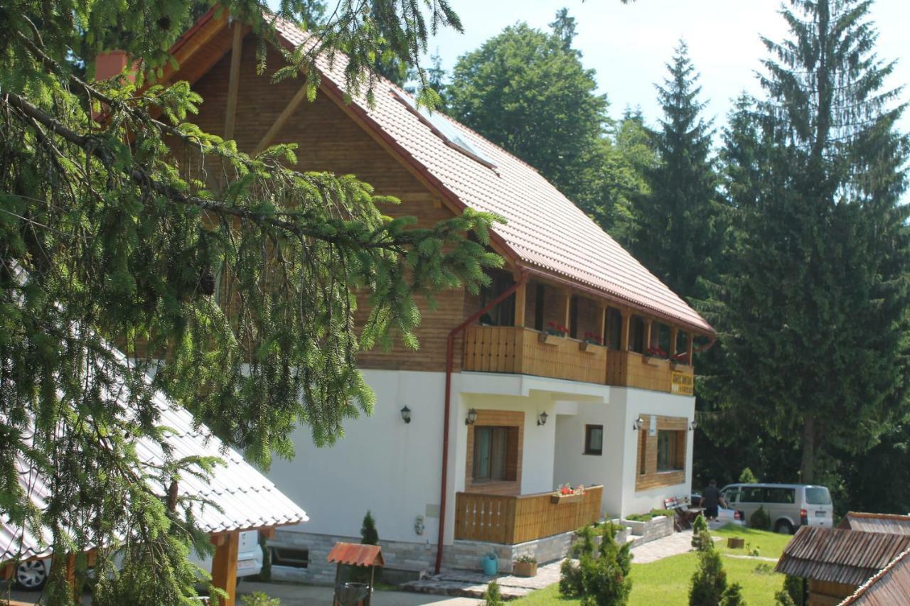 Hotel Arnica Montana Arieşeni Esterno foto