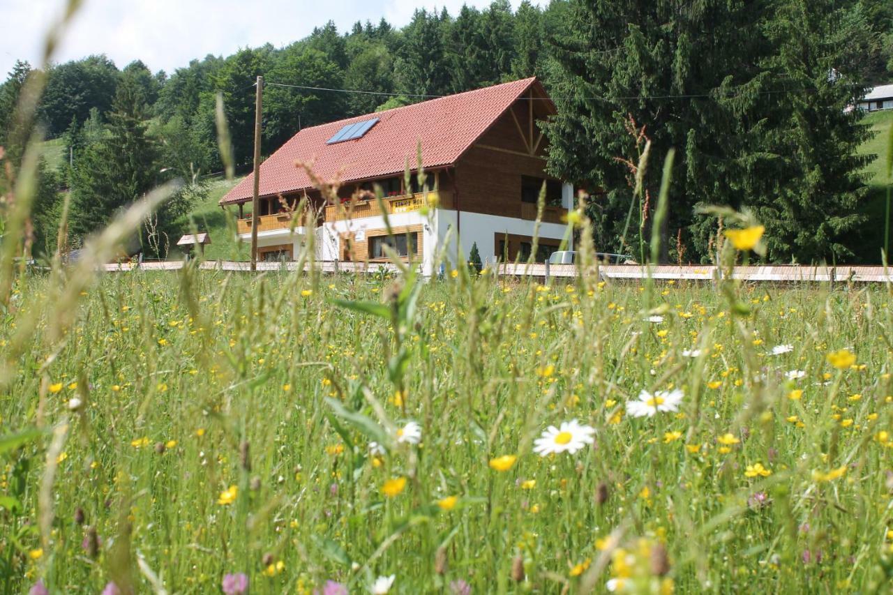 Hotel Arnica Montana Arieşeni Esterno foto