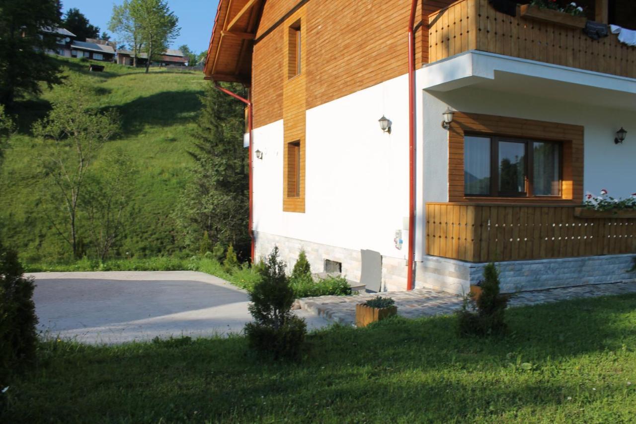 Hotel Arnica Montana Arieşeni Esterno foto
