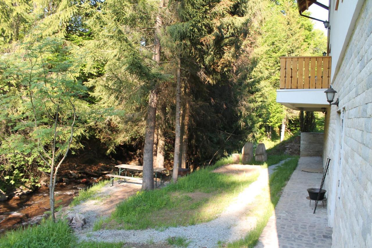 Hotel Arnica Montana Arieşeni Esterno foto