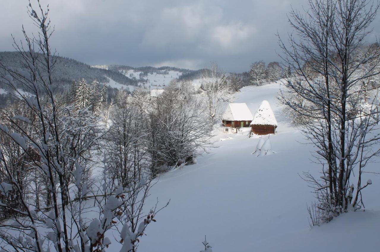 Hotel Arnica Montana Arieşeni Esterno foto
