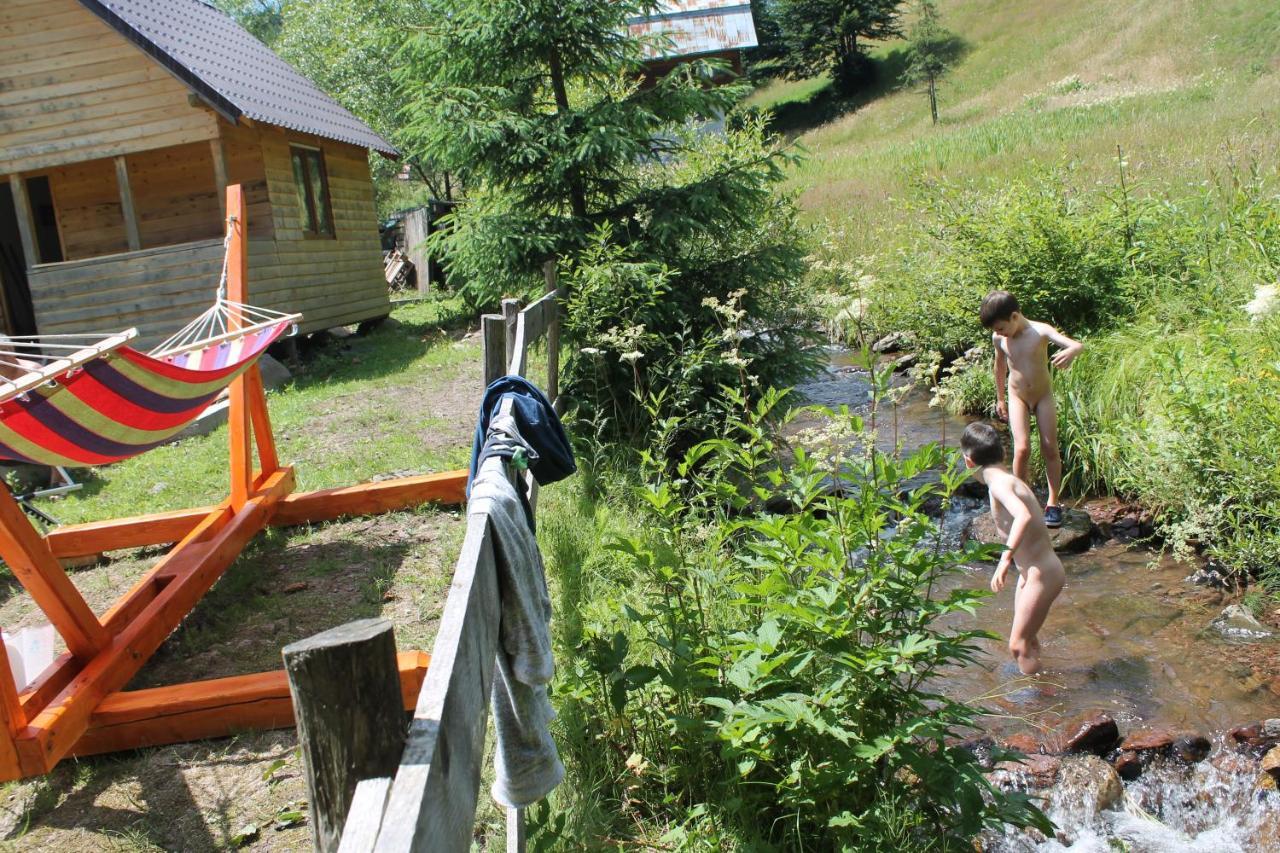 Hotel Arnica Montana Arieşeni Esterno foto
