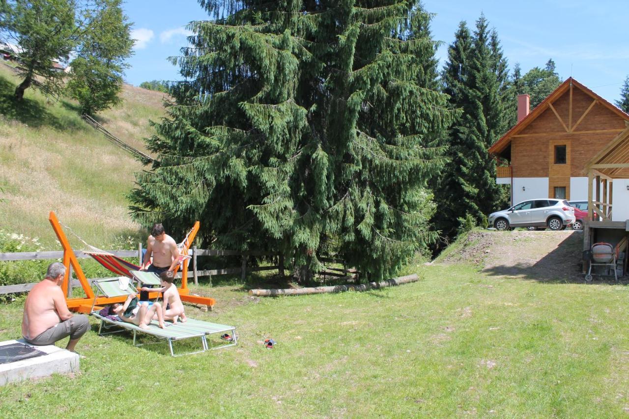 Hotel Arnica Montana Arieşeni Esterno foto