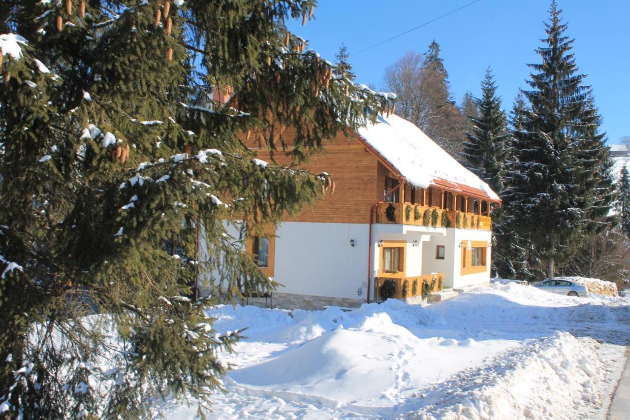 Hotel Arnica Montana Arieşeni Esterno foto