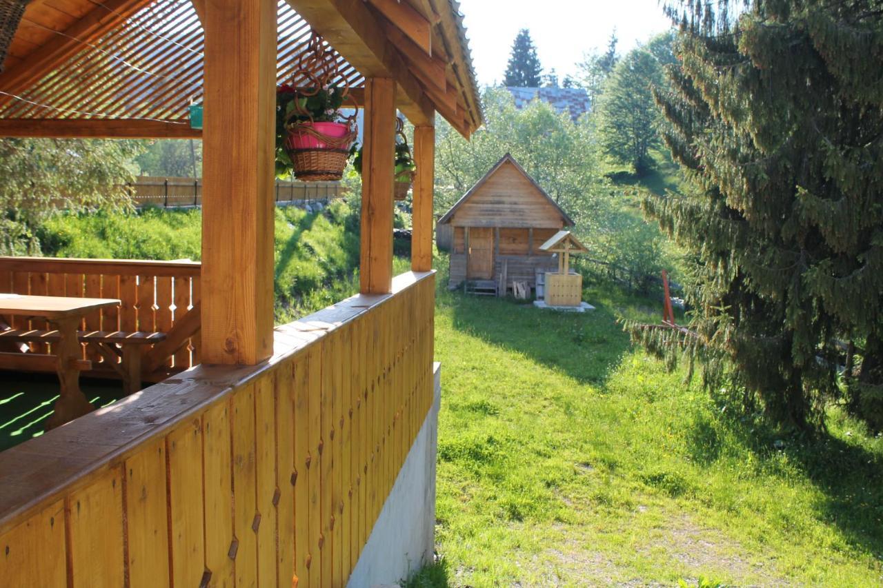 Hotel Arnica Montana Arieşeni Esterno foto